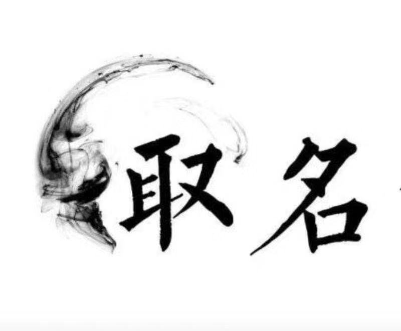 和硕宝宝取名 大师一对一人工起名